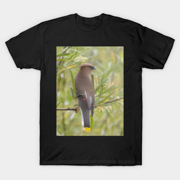 Cedar Waxwing in a tree T-Shirt by BirdsnStuff